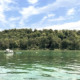 Vue splendide de l’île St-Pierre, destination de notre Visite guidée – Île Saint-Pierre