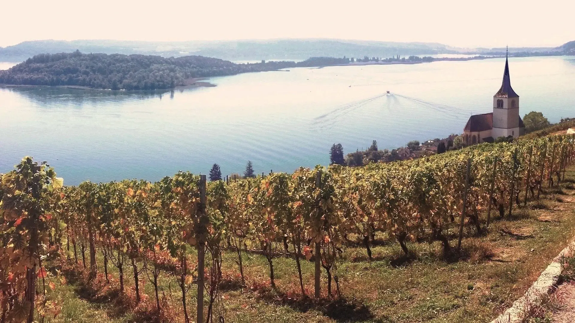 visites-en-suisse-romane-les-villes-medievales-jura-seeland Visites guidées en Suisse romane – sites historiques du Jura et du Seeland