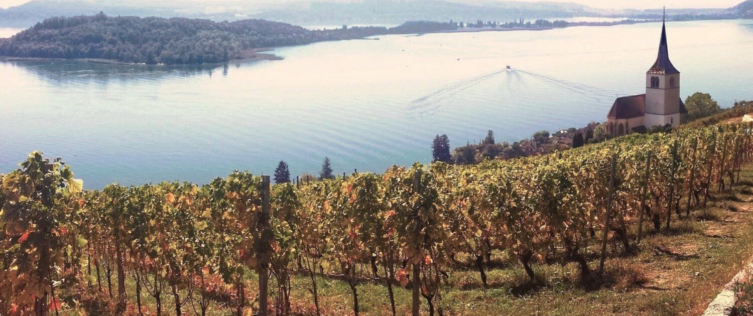 Visite guidate in Svizzera – siti storici del Jura e del Seeland