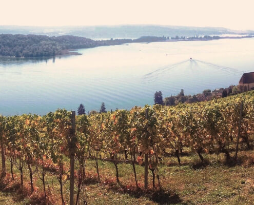 Visite guidate in Svizzera – siti storici del Jura e del Seeland