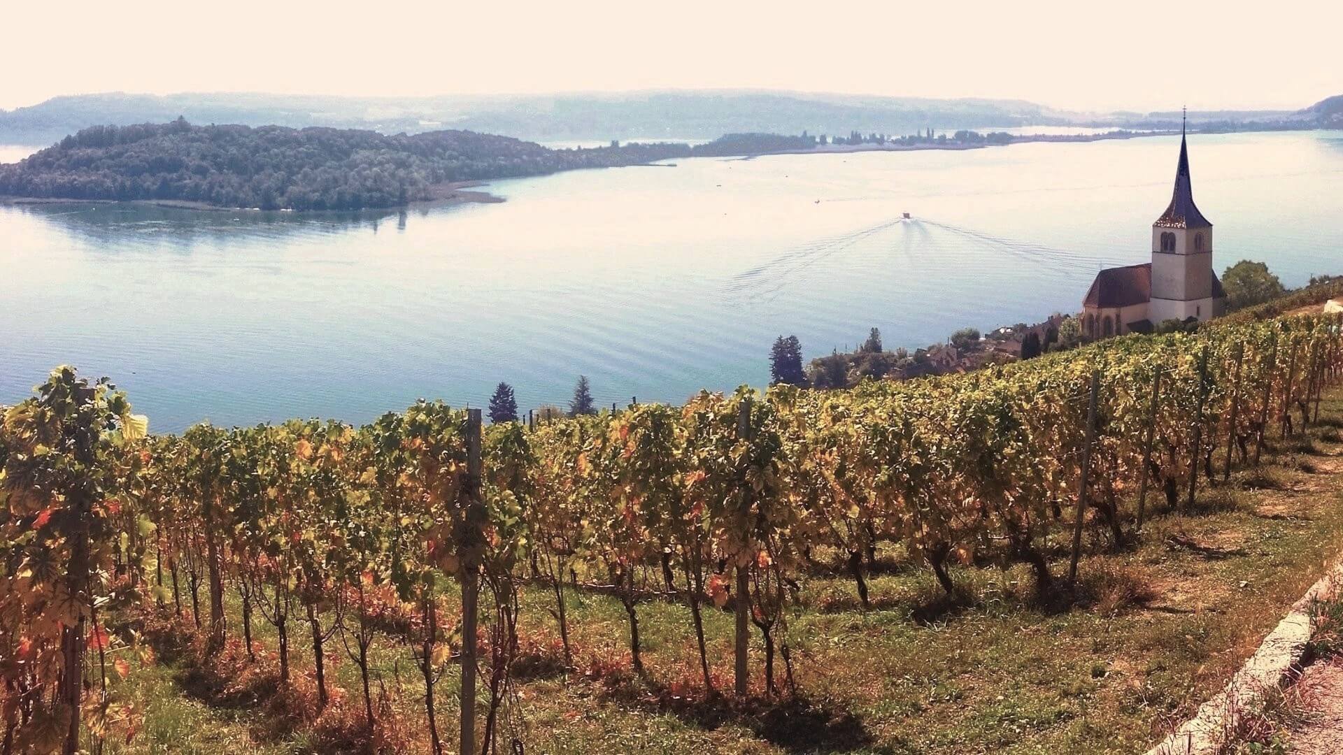 Visite guidate in Svizzera – siti storici del Jura e del Seeland