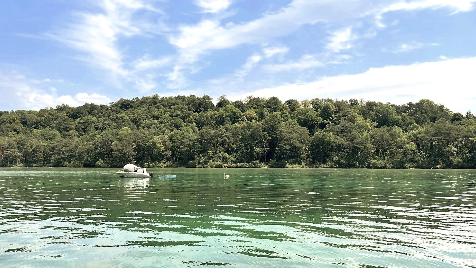 Isola di San Pietro. Visita guidata: splendida vista dal battello.